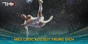 mẹo cược kèo sút trúng đích 7m và cách chơi chi tiết