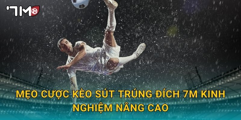 mẹo cược kèo sút trúng đích 7m kinh nghiệm nâng cao