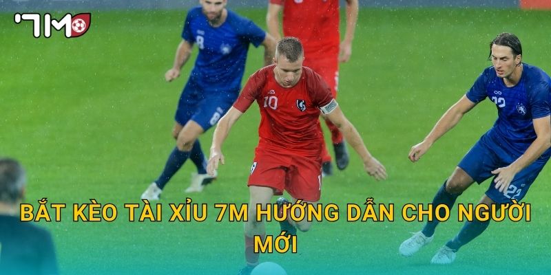 bắt kèo tài xỉu 7m hướng dẫn cho người mới