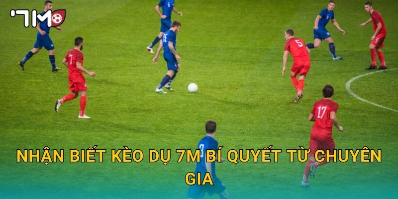 Nhận biết kèo dụ 7m bí quyết từ chuyên gia