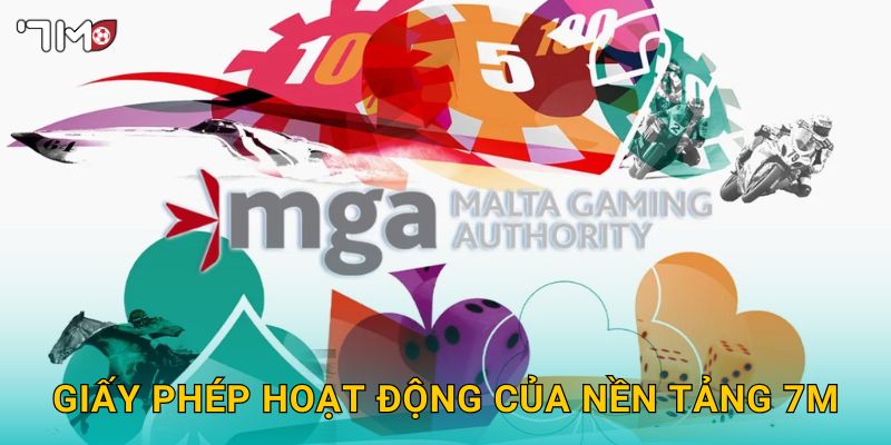 Giấy phép hoạt động của nền tảng 7M